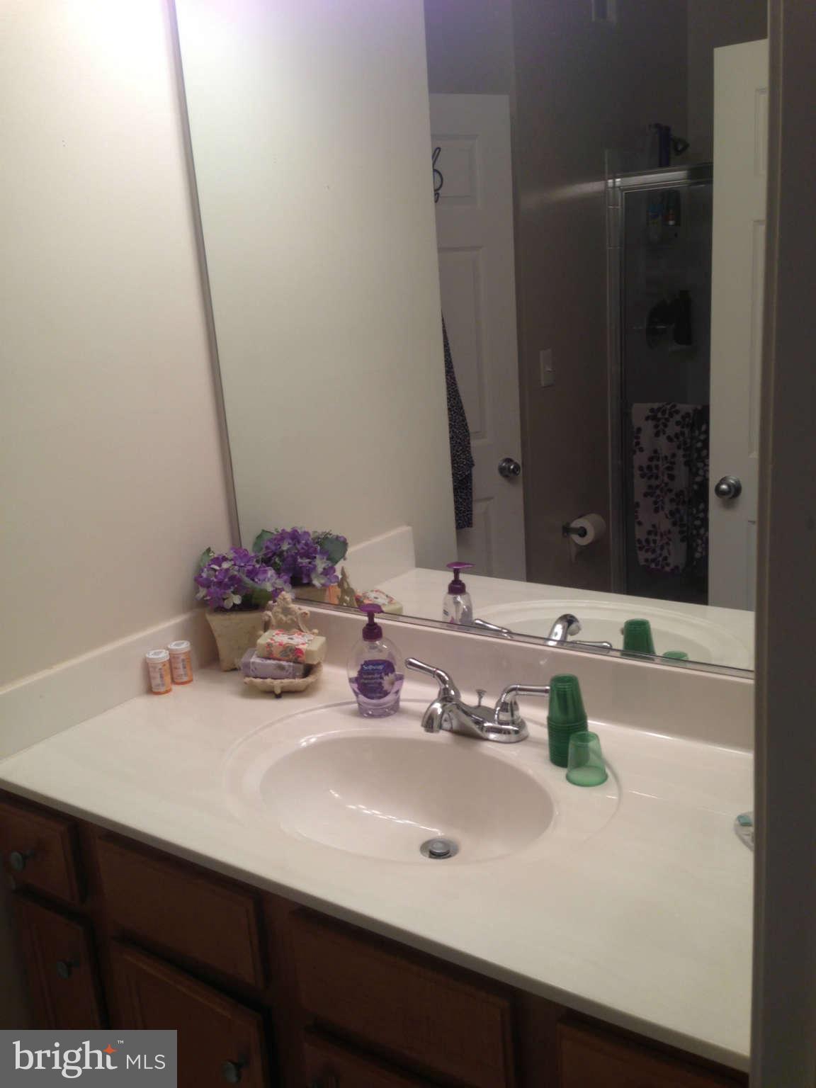 1519 North Point Drive, Unit 203 Reston, VA 20194 - Photo 17 of 18 Bath