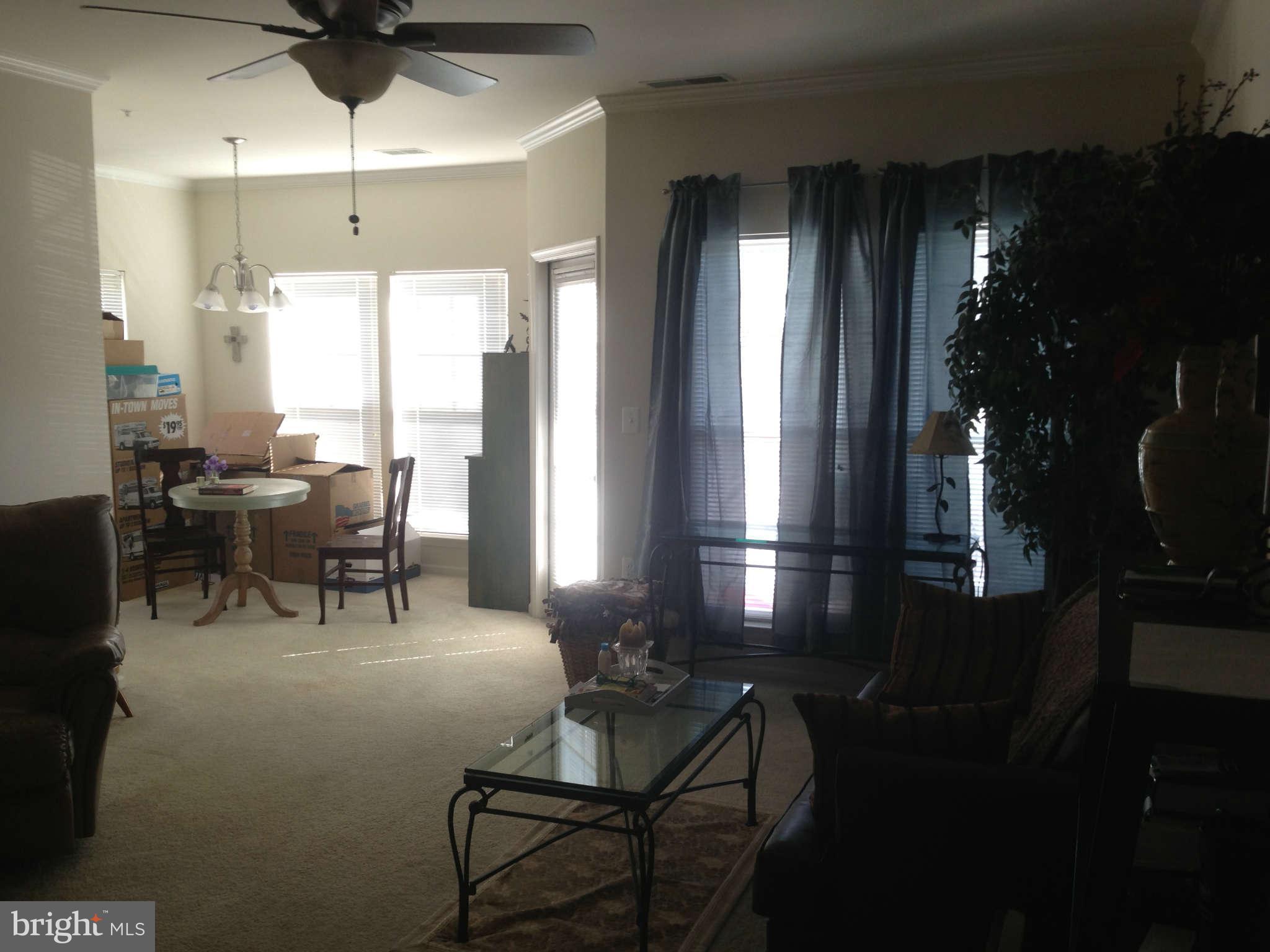 1519 North Point Drive, Unit 203 Reston, VA 20194 - Photo 4 of 18 Living Room