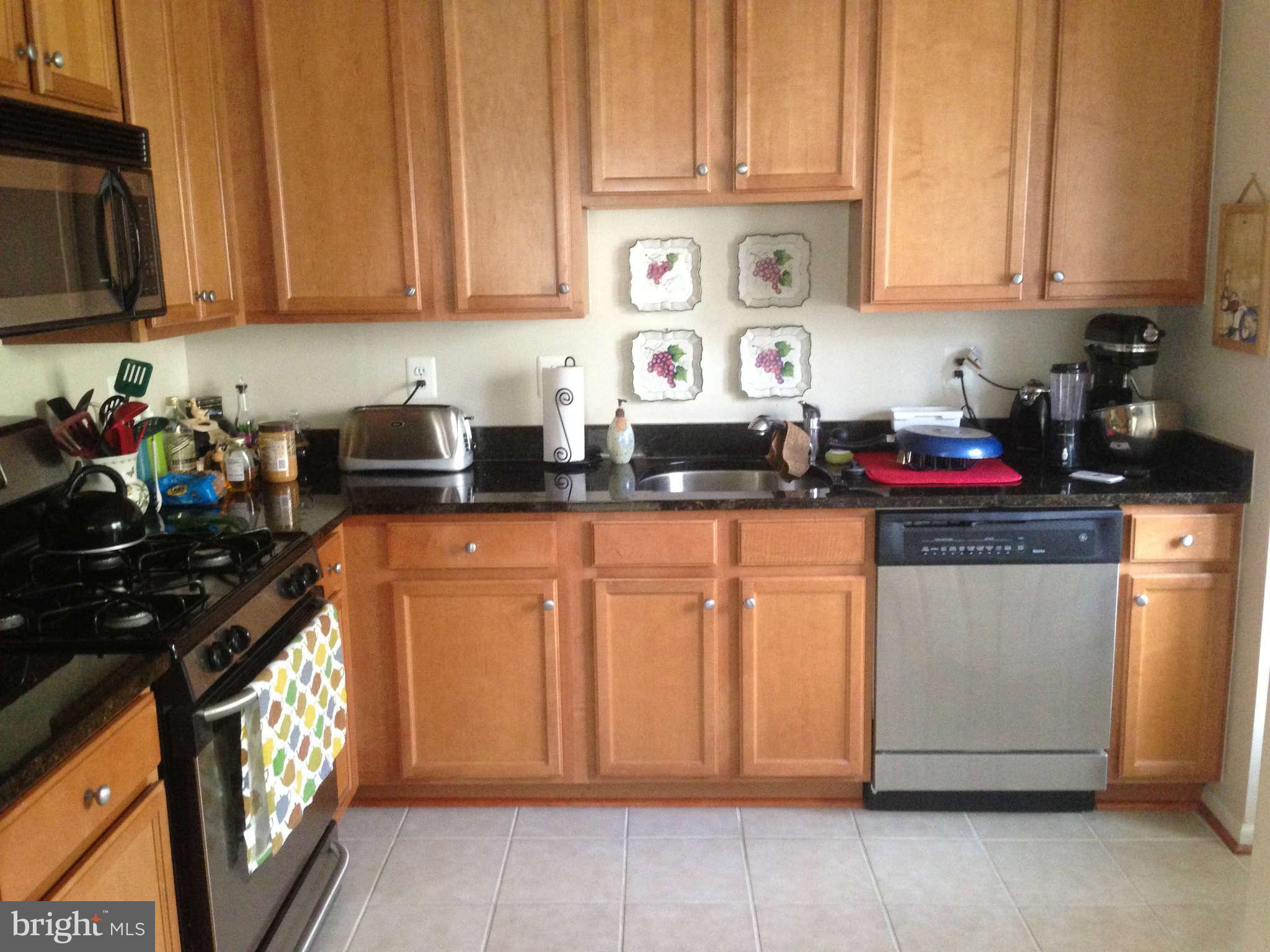 1519 North Point Drive, Unit 203 Reston, VA 20194 - Photo 8 of 18 Kitchen