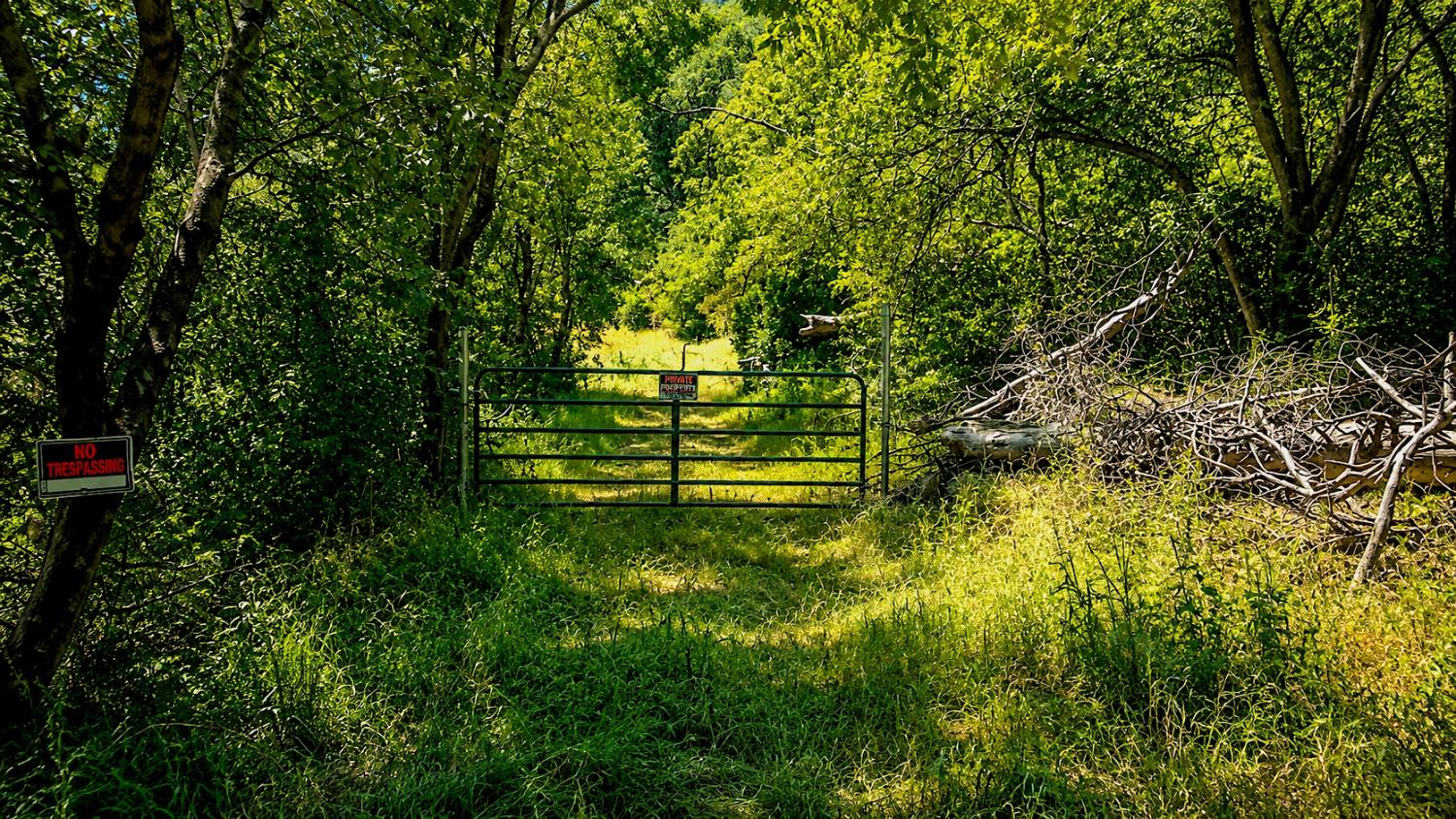 0 Cuneo Road Coulterville, CA 95311 - Photo 7 of 17