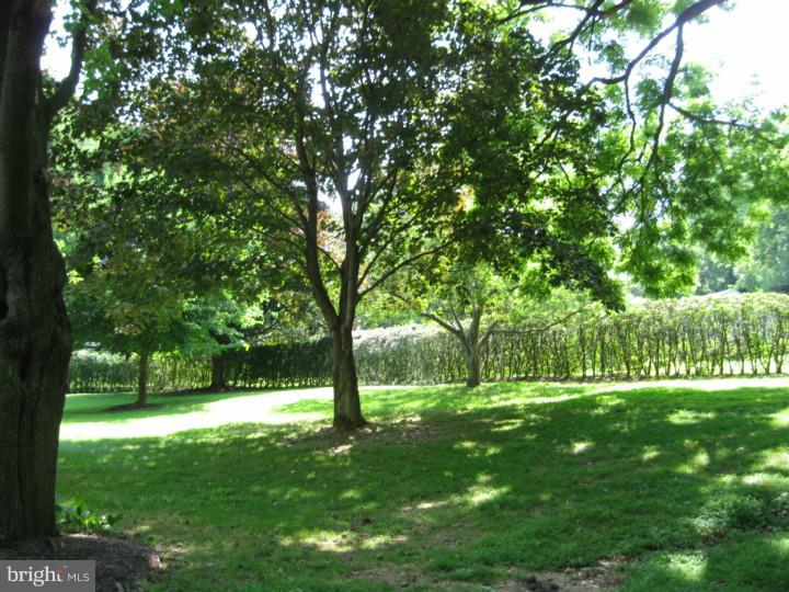 670 Howellville Road Berwyn, PA 19312 - Photo 8 of 24 Back Yard