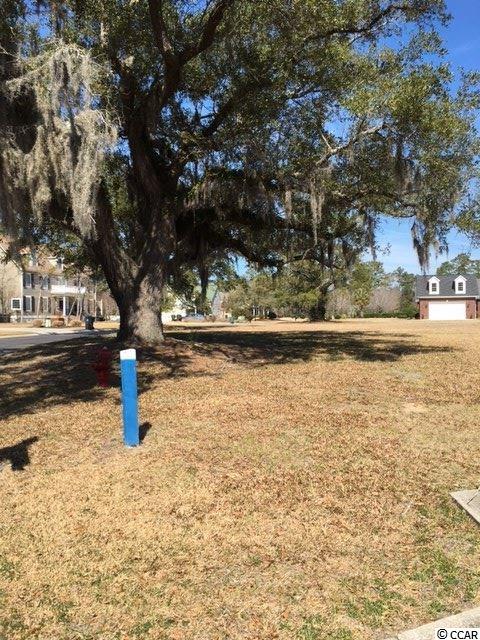 Lot 8 Hagar Brown Road Murrells Inlet, SC 29576 - Photo 2 of 9 Gallery Image 2
