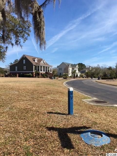 Lot 8 Hagar Brown Road Murrells Inlet, SC 29576 - Photo 3 of 9 Gallery Image 3