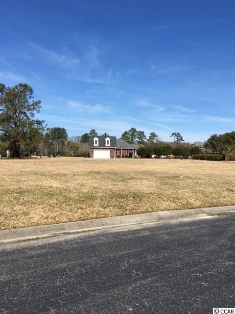 Lot 8 Hagar Brown Road Murrells Inlet, SC 29576 - Photo 4 of 9 Gallery Image 4