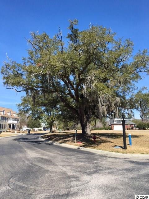 Lot 8 Hagar Brown Road Murrells Inlet, SC 29576 - Photo 5 of 9 Gallery Image 5