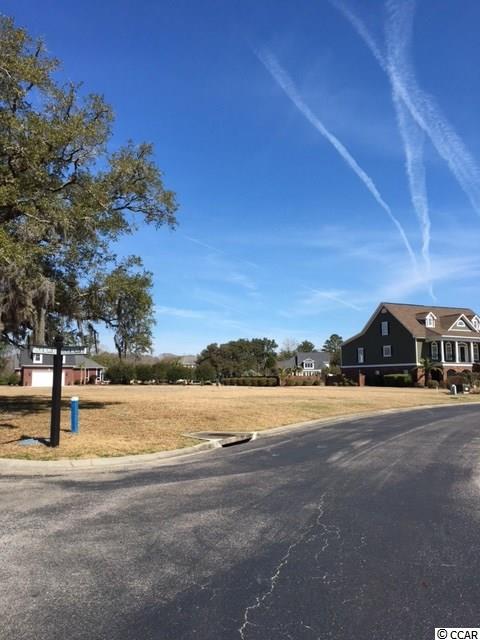 Lot 8 Hagar Brown Road Murrells Inlet, SC 29576 - Photo 6 of 9 Gallery Image 6