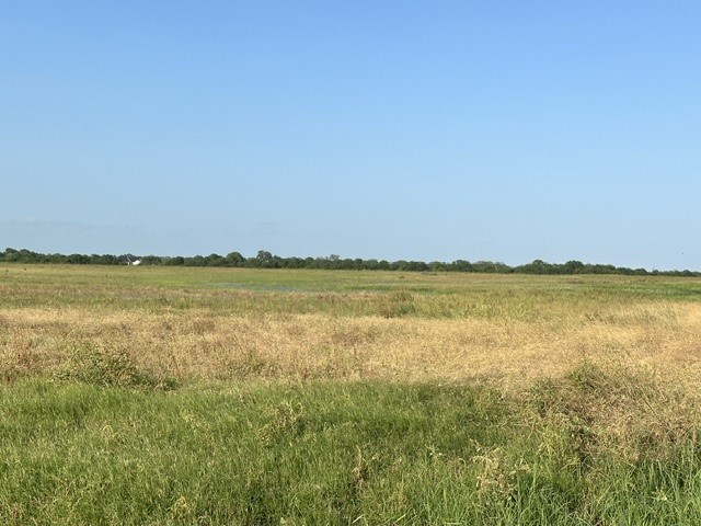 0 East Cr 2300 Riviera, TX 78379 - Photo 3 of 3