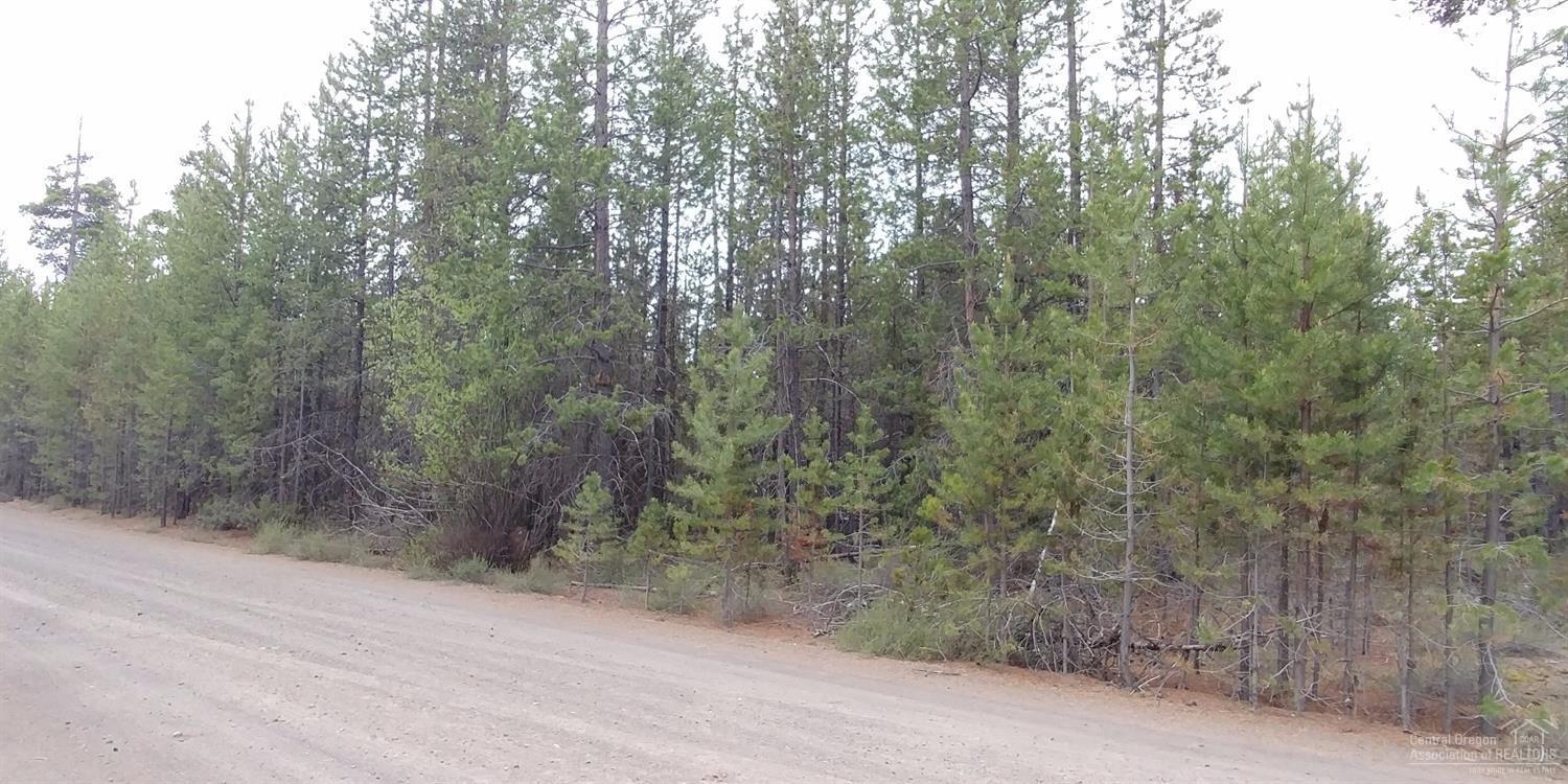 51313 Dianne Road La Pine, OR 97739 - Photo 2 of 4 Additional Photo