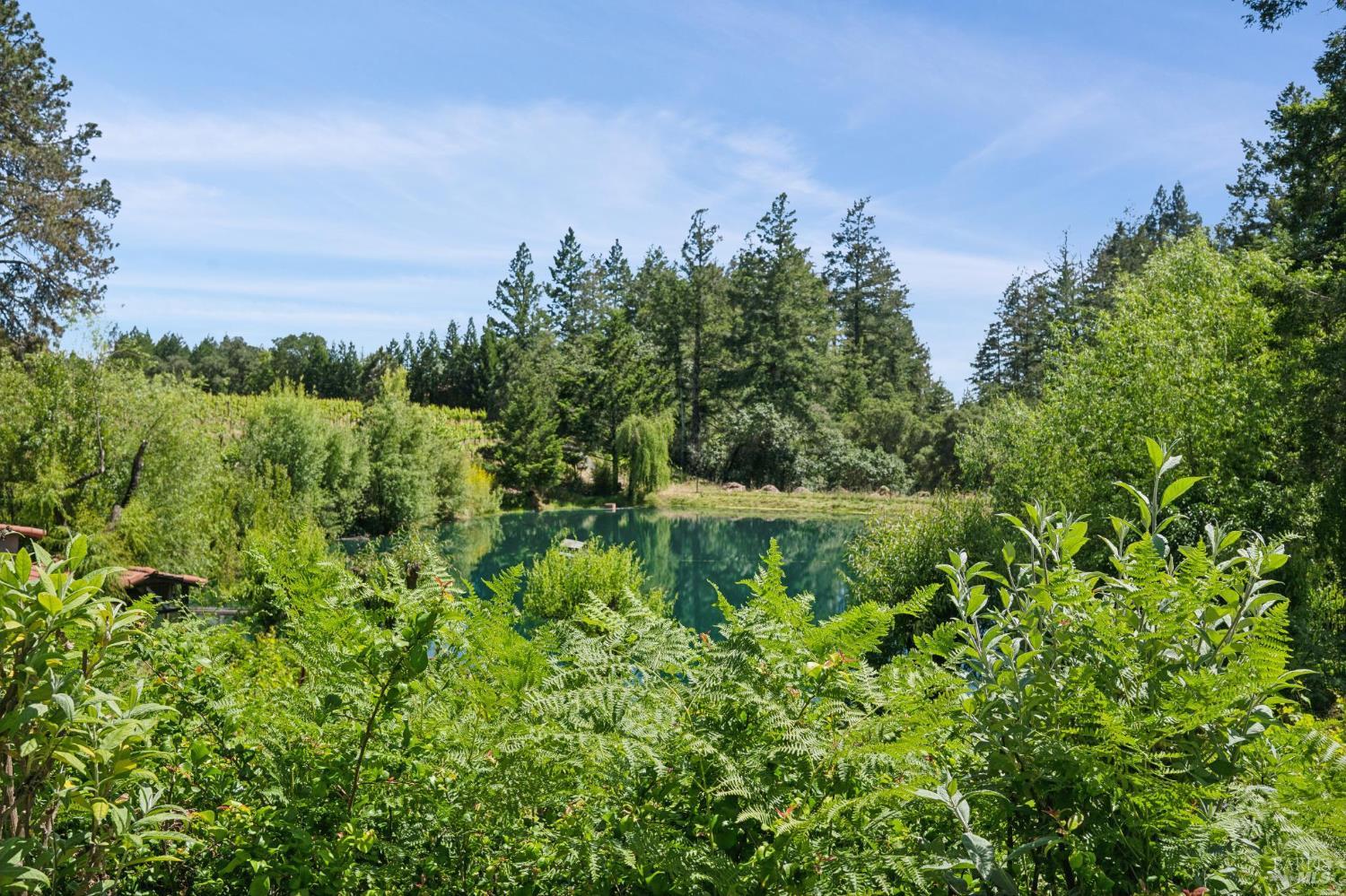 1633 Dry Creek Road Healdsburg, CA 95448 - Photo 46 of 64