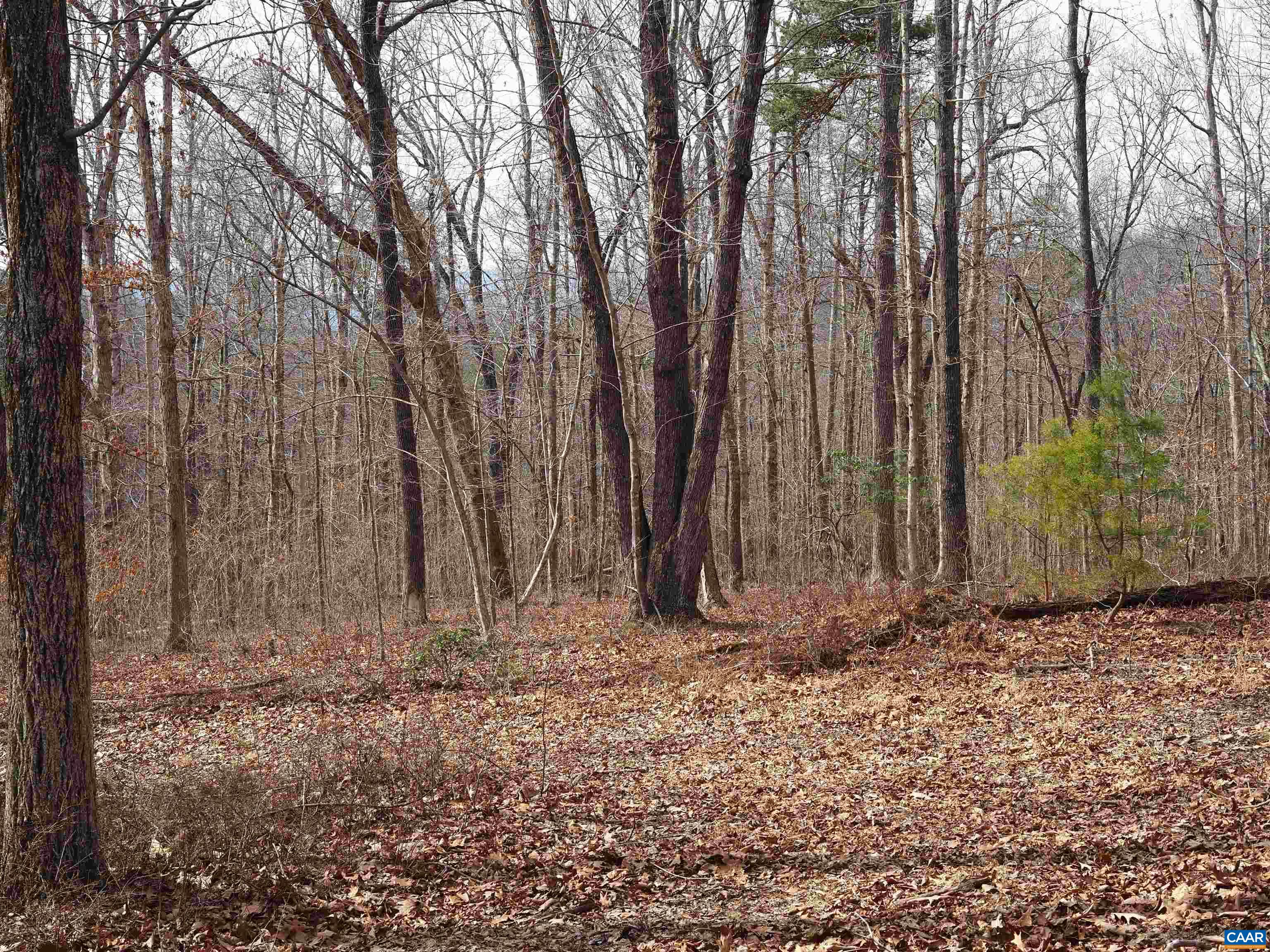Thunder Ridge Road Afton, VA 22920 - Photo 8 of 11 a view of wooden fence in a yard