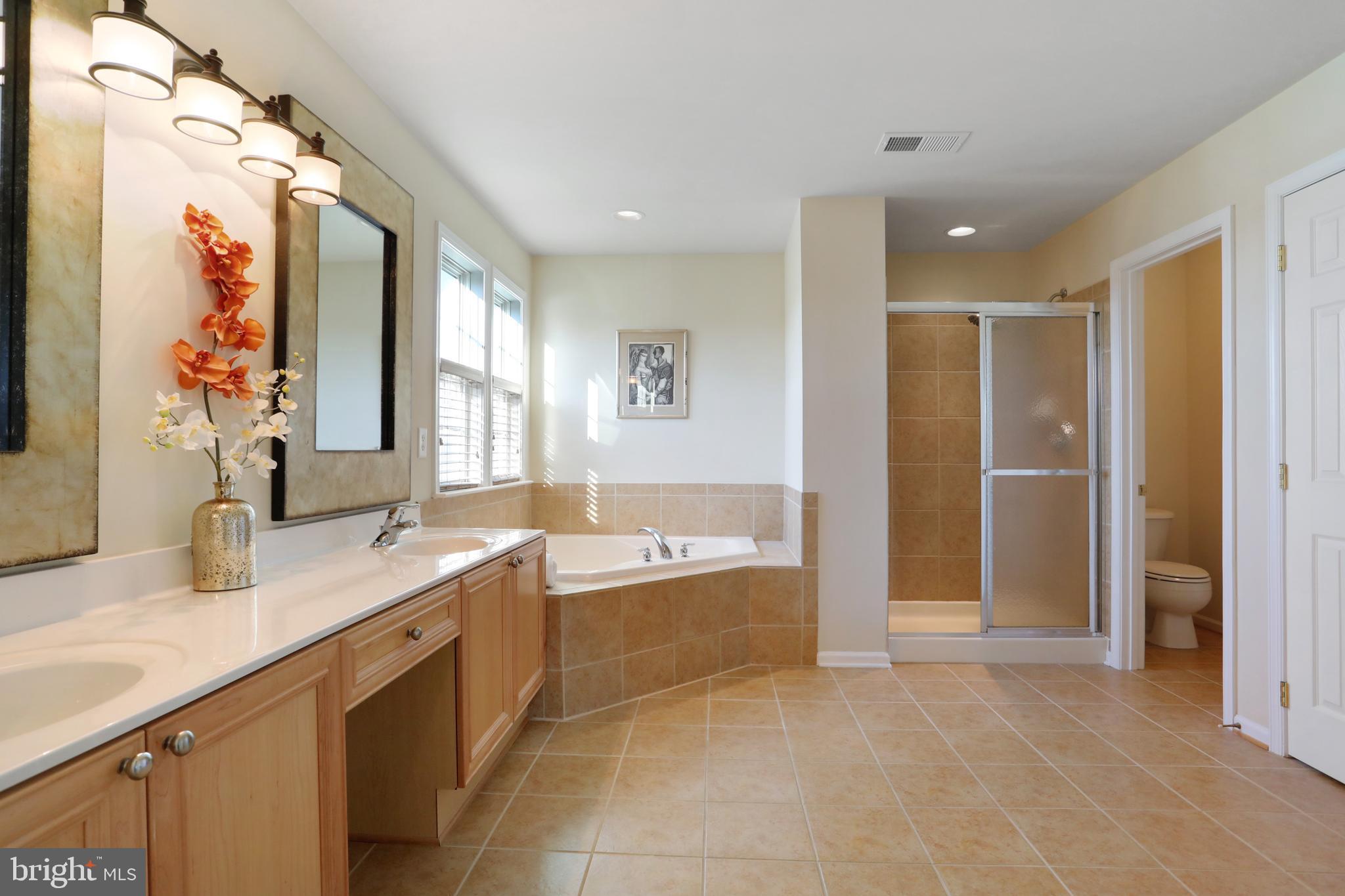 615 Rivanna Run Falling Waters, WV 25419 - Photo 28 of 46 Master Bath w/soaking tub and separate shower