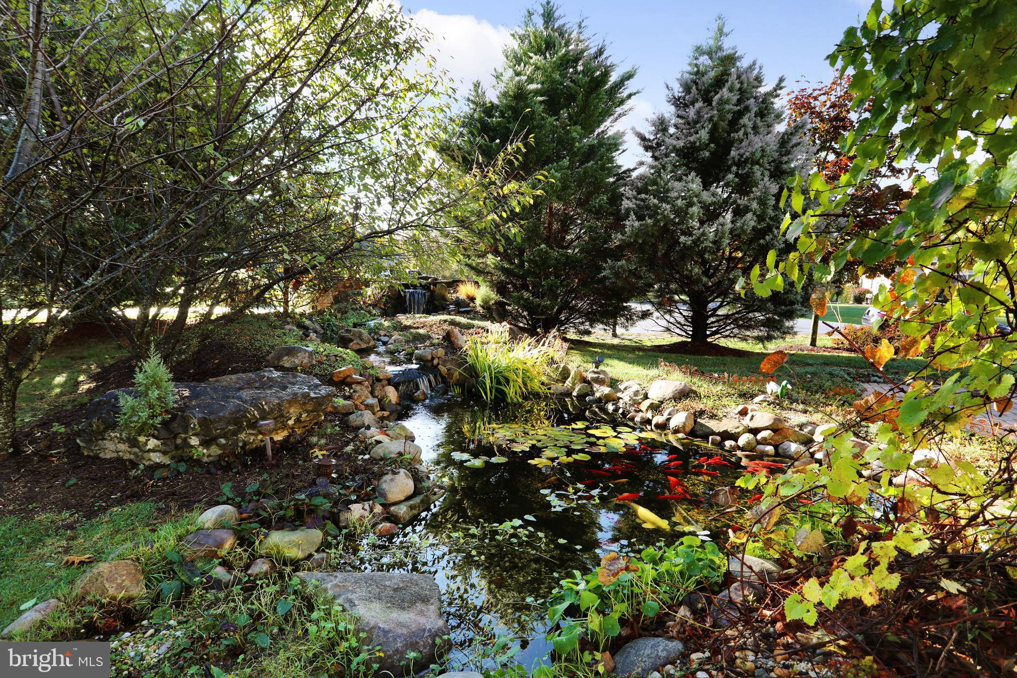 615 Rivanna Run Falling Waters, WV 25419 - Photo 42 of 46 Pond Area