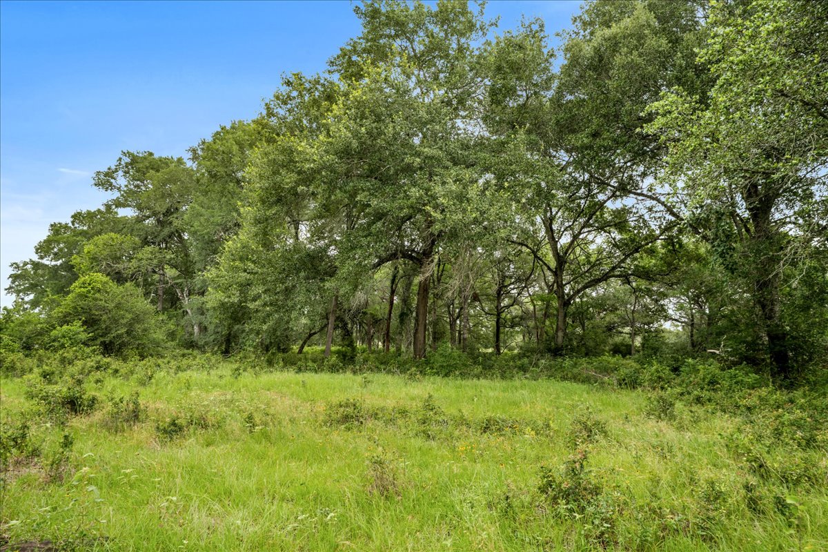 8413 Mach Road La Grange, TX 78945 - Photo 12 of 40