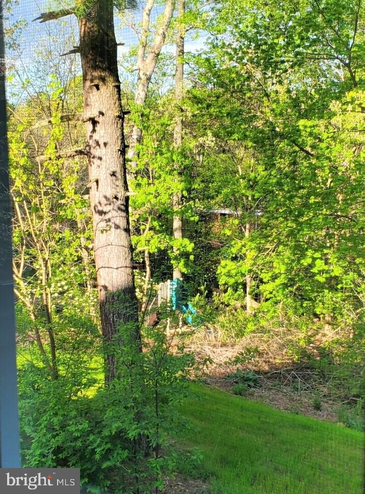 3334 Gunston Road Alexandria, VA 22302 - Photo 7 of 28