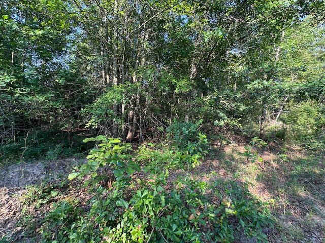2576 Jessie James Pond Road Wrens, GA 30818 - Photo 28 of 47 IMG_3999
