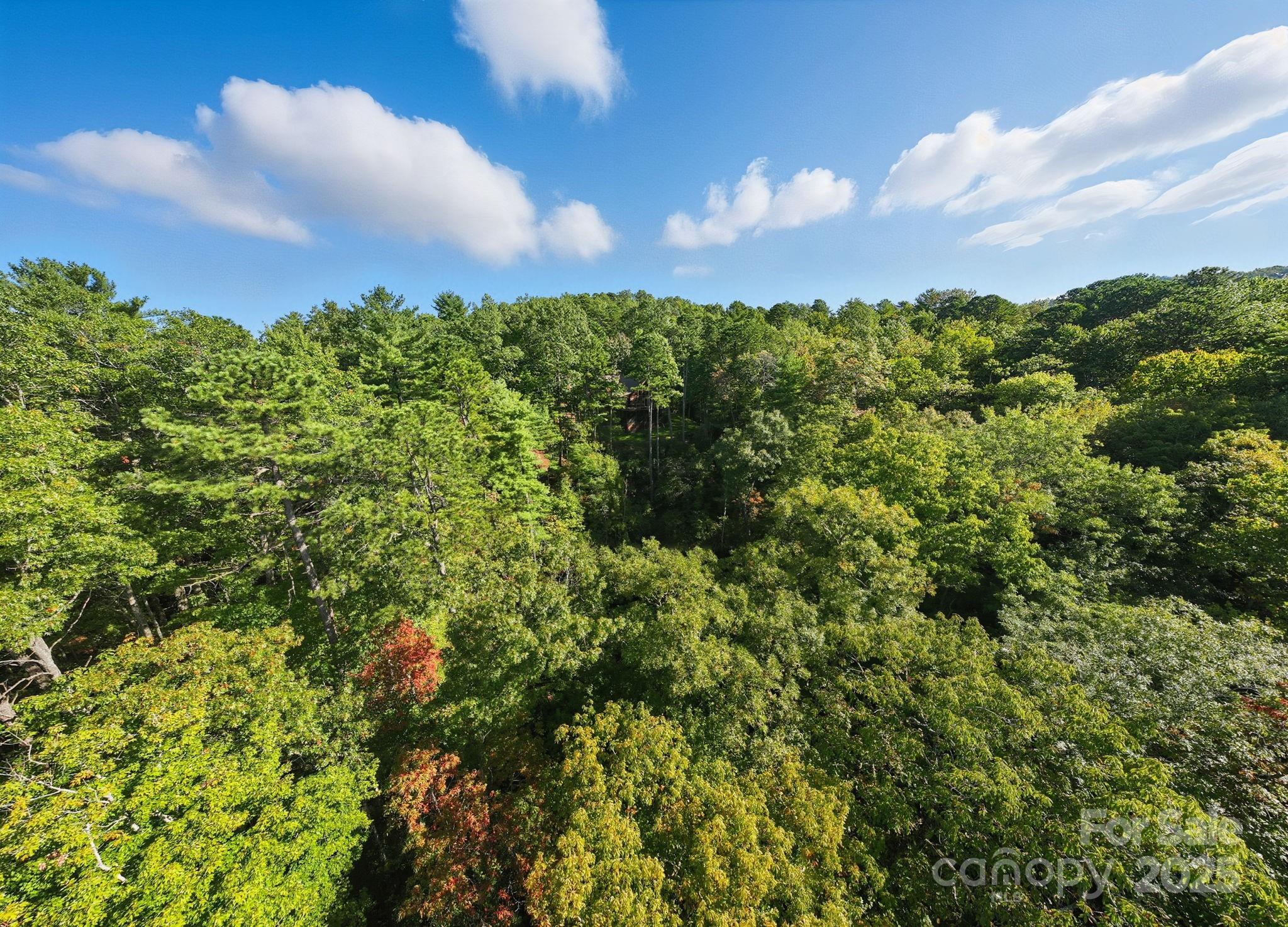 Lot 32 West View Road, Unit 32 Brevard, NC 28712 - Photo 7 of 8 Gallery Image 7