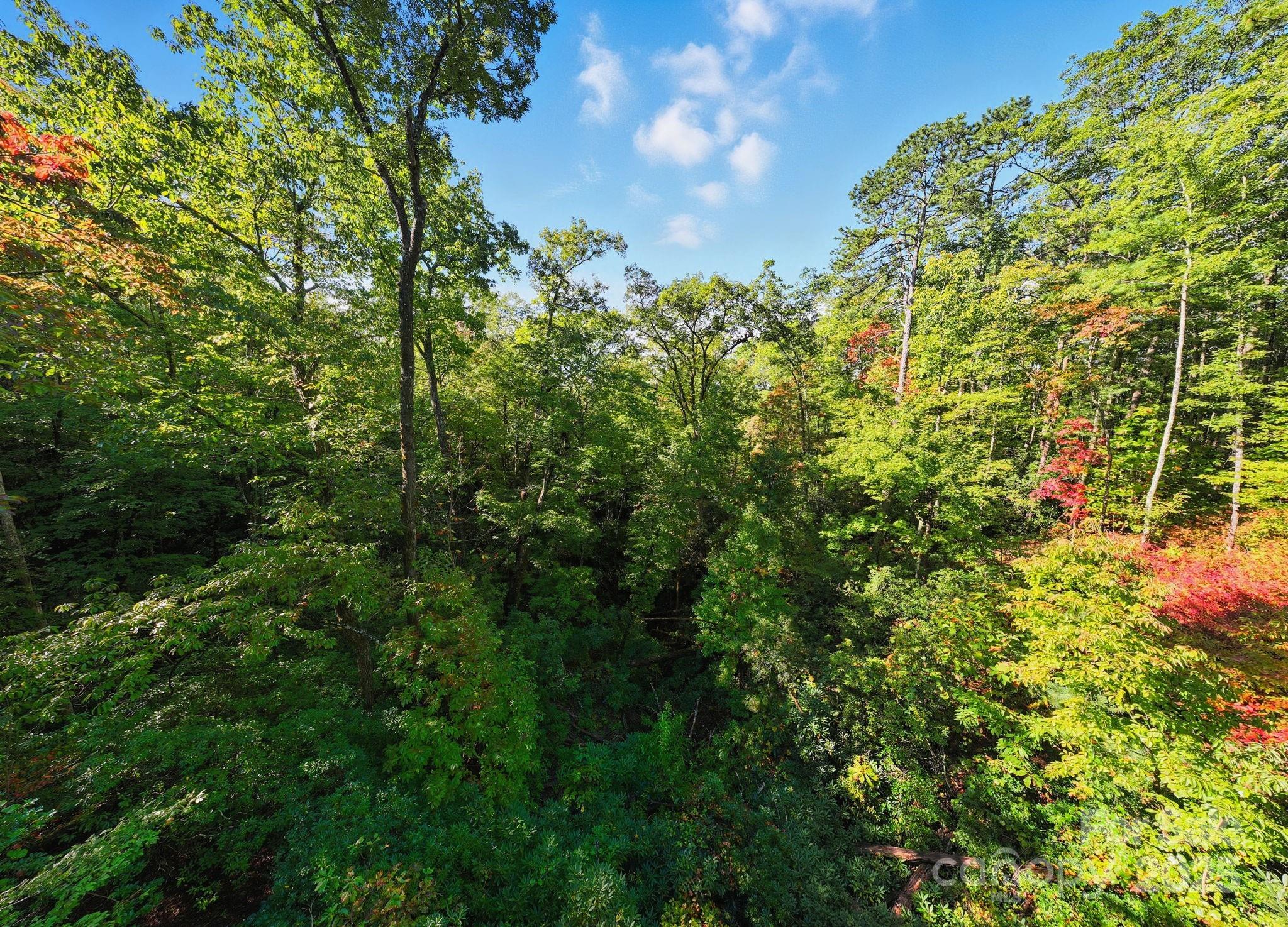 Lot 32 West View Road, Unit 32 Brevard, NC 28712 - Photo 8 of 8 Gallery Image 8