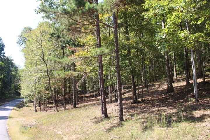 19 Haynes Knob Road Somerset, KY 42501 - Photo 1 of 7 1