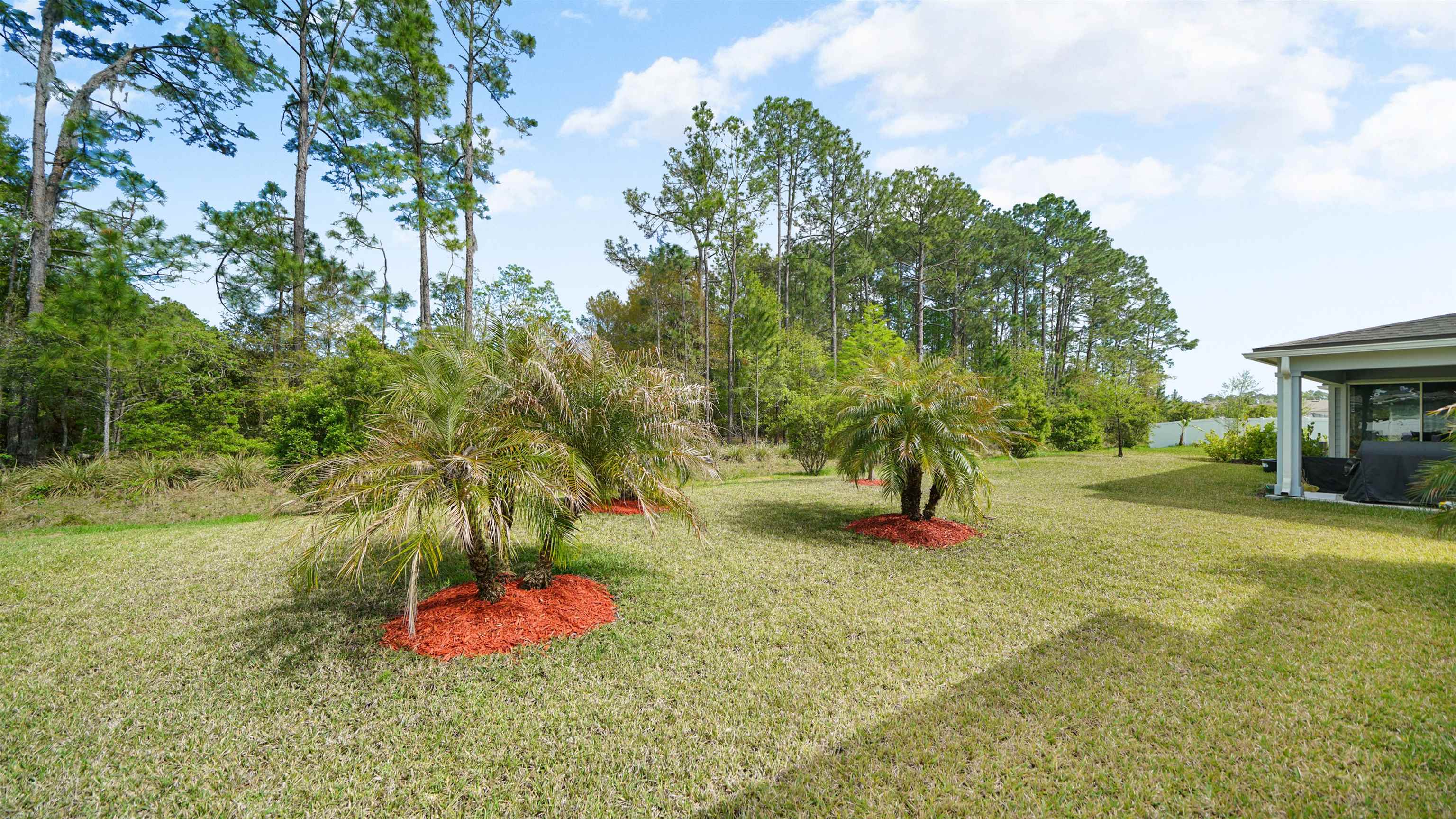 314 Red Barn Road St. Augustine, FL 32092 - Photo 32 of 45 a view of an outdoor space and yard