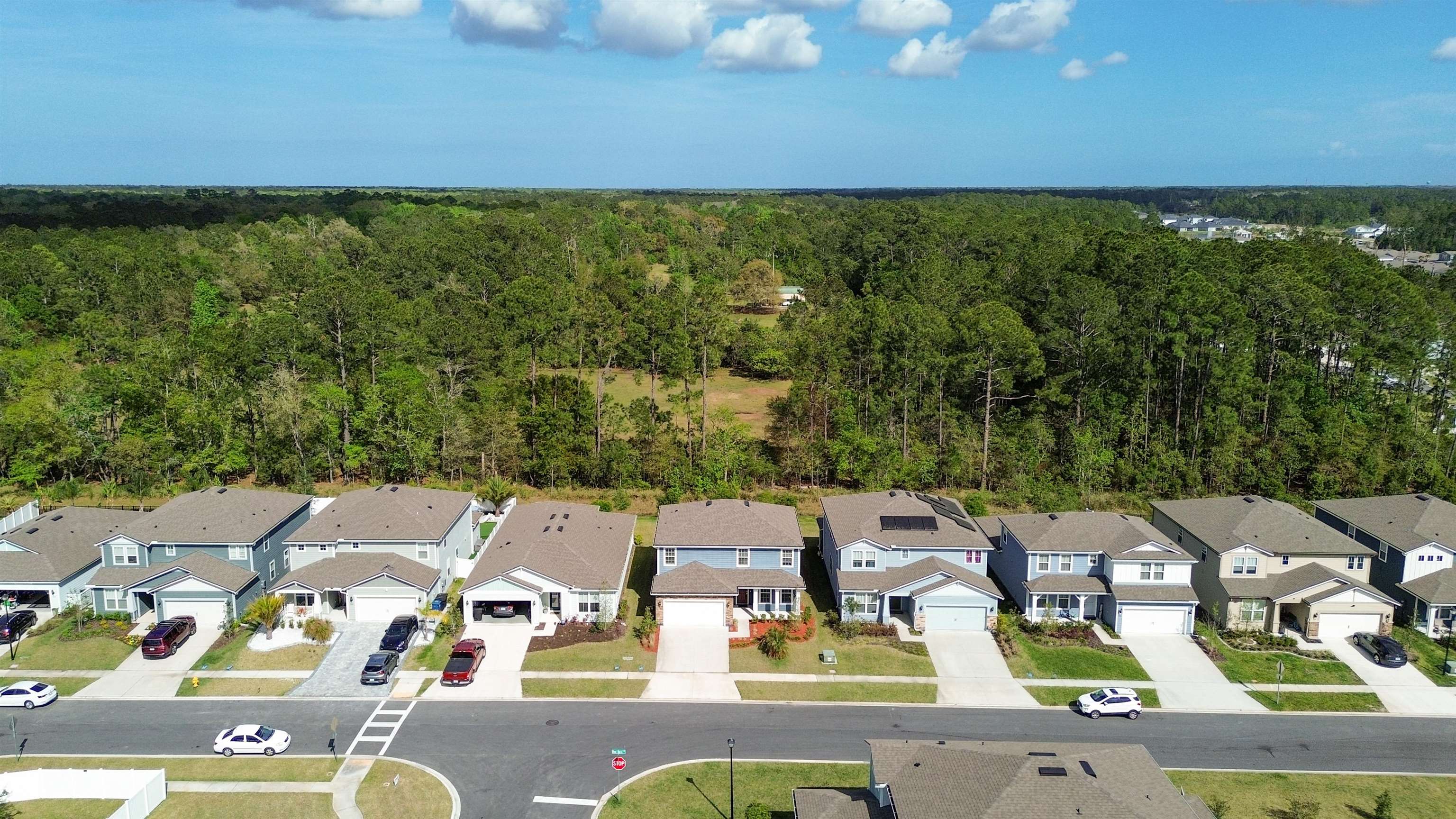 314 Red Barn Road St. Augustine, FL 32092 - Photo 34 of 45 an aerial view of residential houses with outdoor space and trees