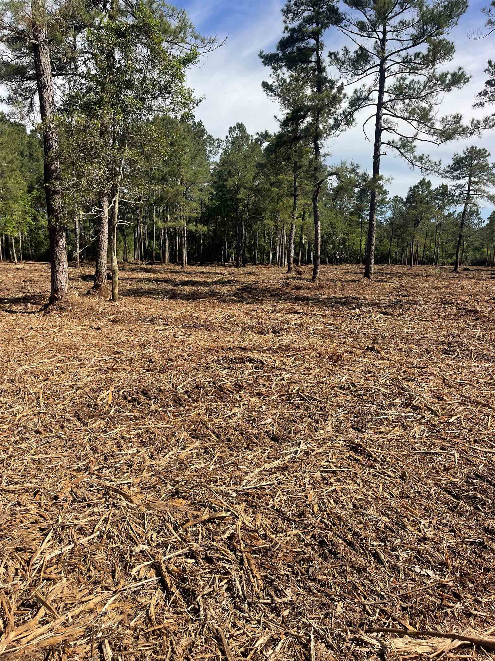 Tbd Tbd Mount Loris, SC 29569 - Photo 13 of 26