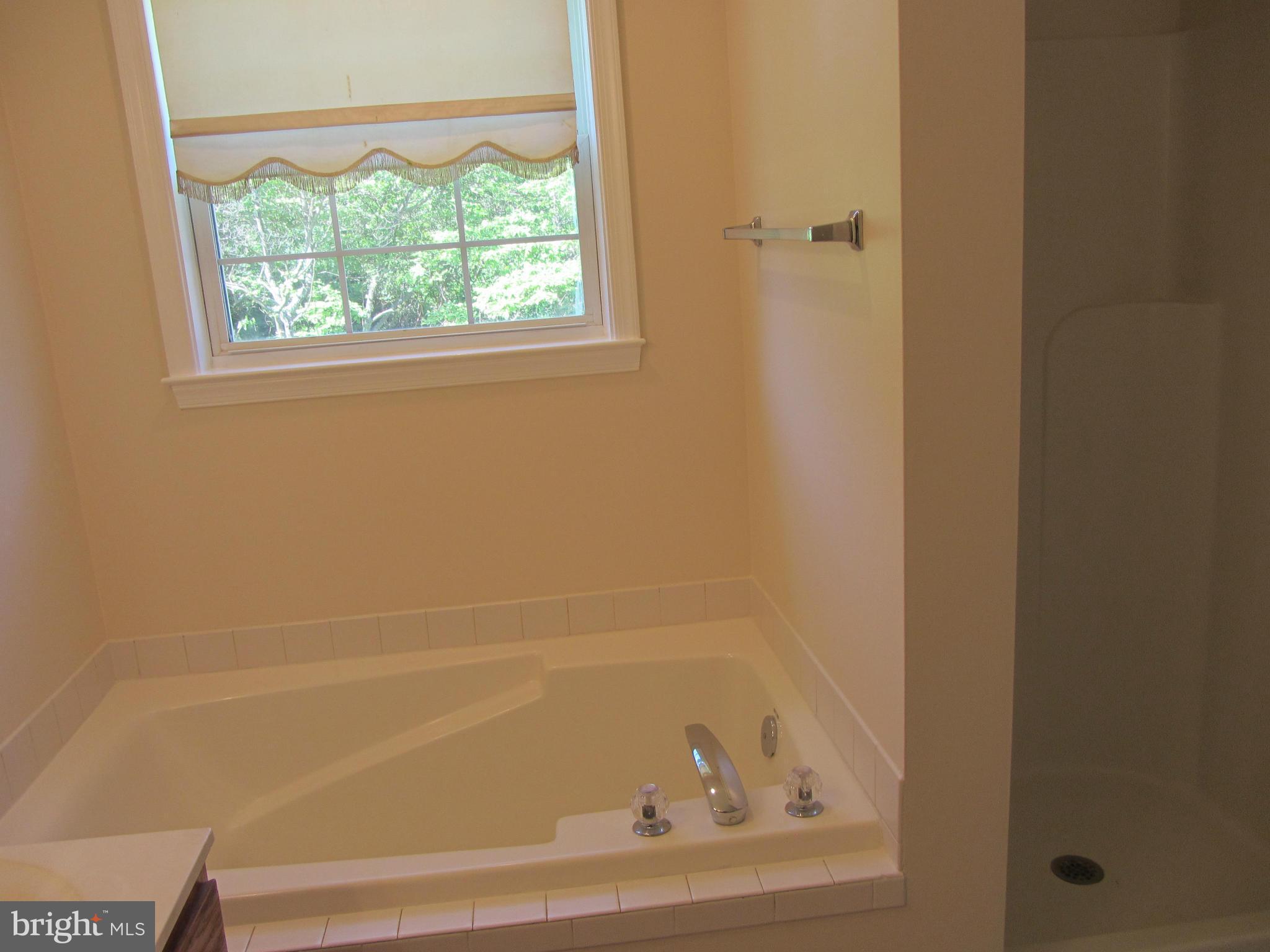 672 Broadview Avenue Warrenton, VA 20186 - Photo 14 of 29 Bath (Master)