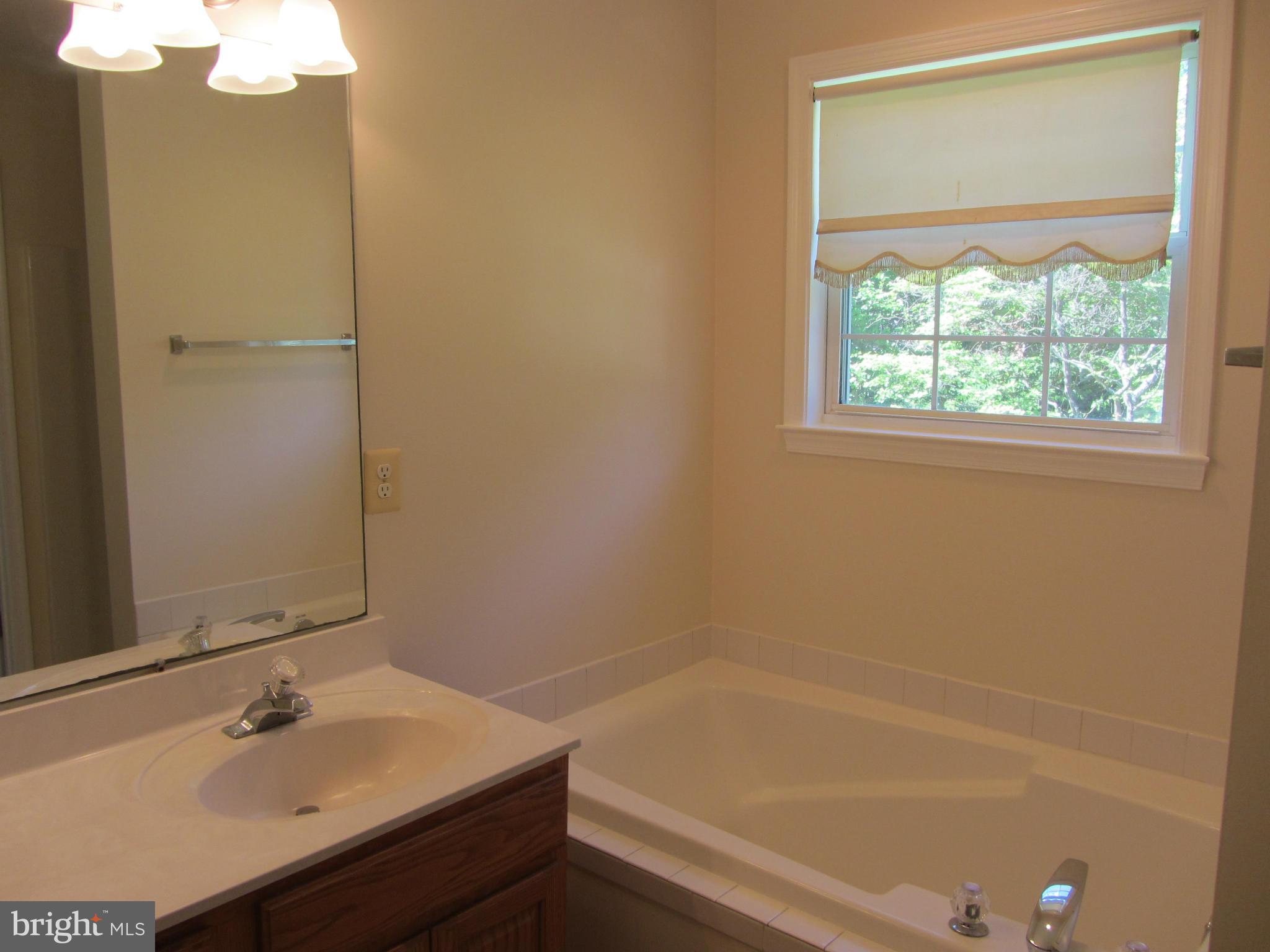 672 Broadview Avenue Warrenton, VA 20186 - Photo 15 of 29 Bath (Master)