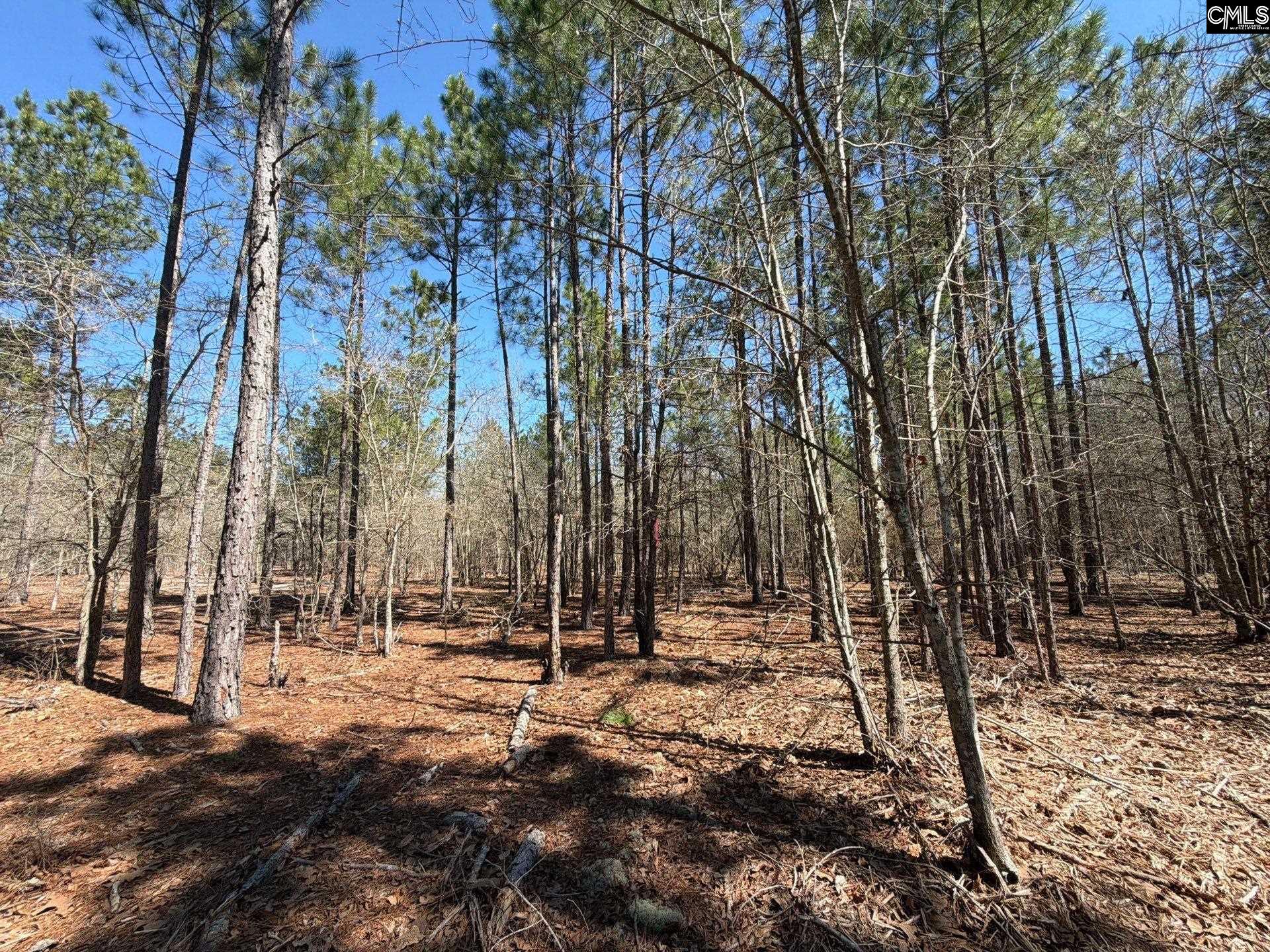 13 Boise Cascade Road, Unit BHL 13 Bethune, SC 29009 - Photo 11 of 31