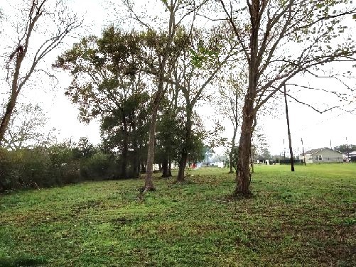 542 North Pine Road Arcola, TX 77583 - Photo 13 of 13