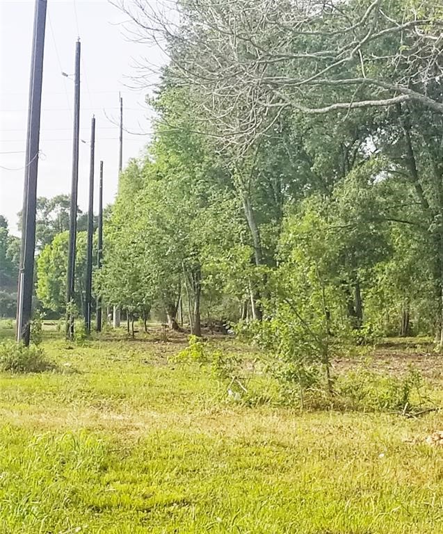 542 North Pine Road Arcola, TX 77583 - Photo 7 of 13