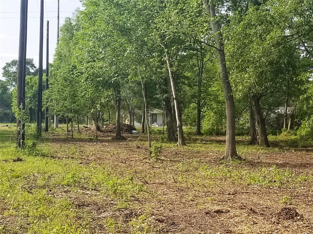 542 North Pine Road Arcola, TX 77583 - Photo 8 of 13