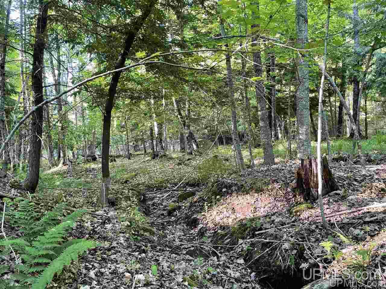 Tbd Tbd Saari Road Lanse, MI 49946 - Photo 8 of 27