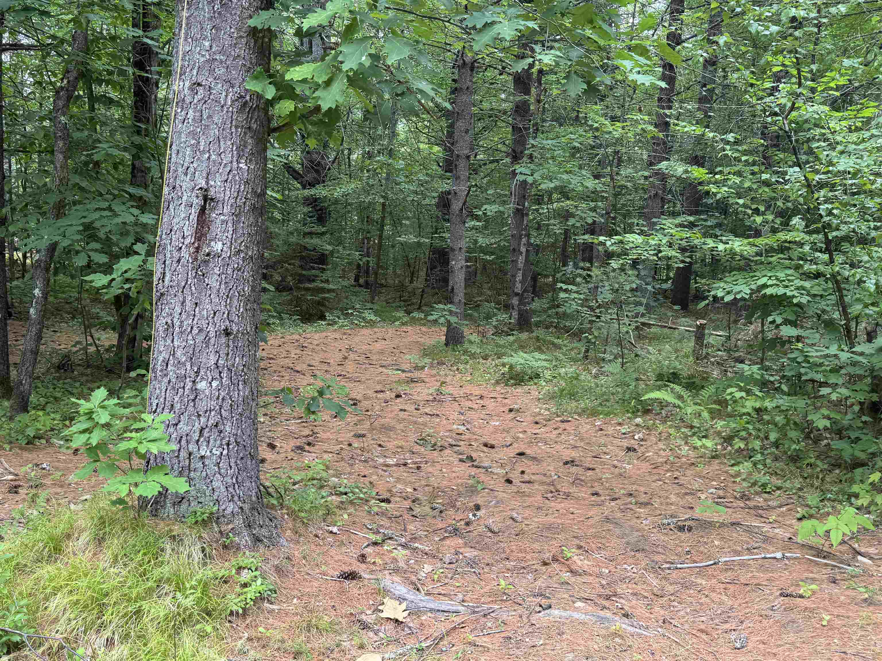 38 Moose Ridge Road Ossipee, NH 03864 - Photo 25 of 36