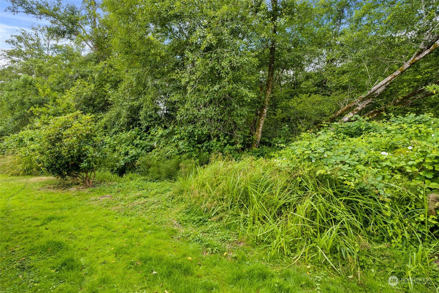 1050 Howard Street, Unit 7 Raymond, WA 98577 - Photo 19 of 19