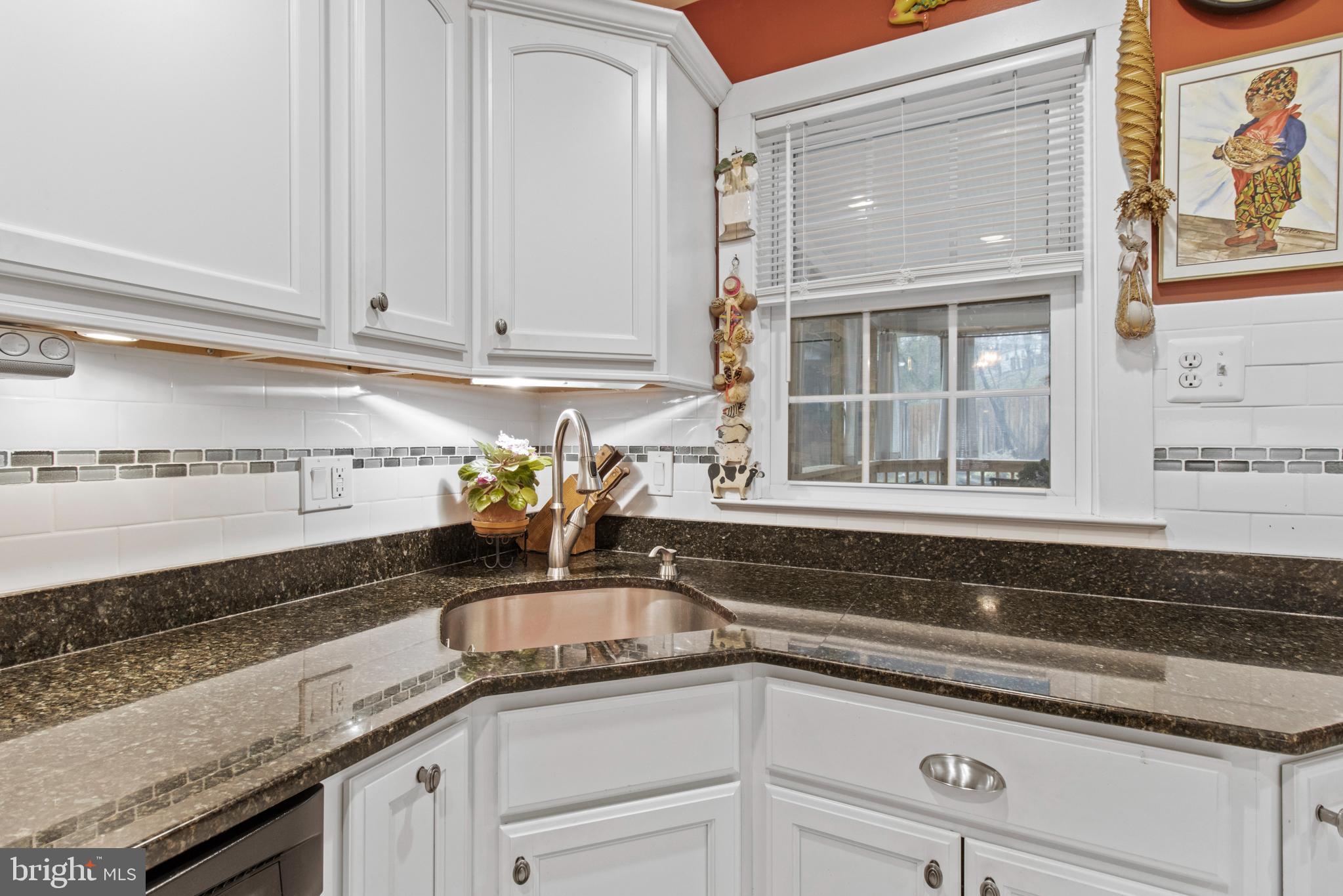 10429 Kinloch Road Silver Spring, MD 20903 - Photo 4 of 37 Quality Cabinetry and counter tops