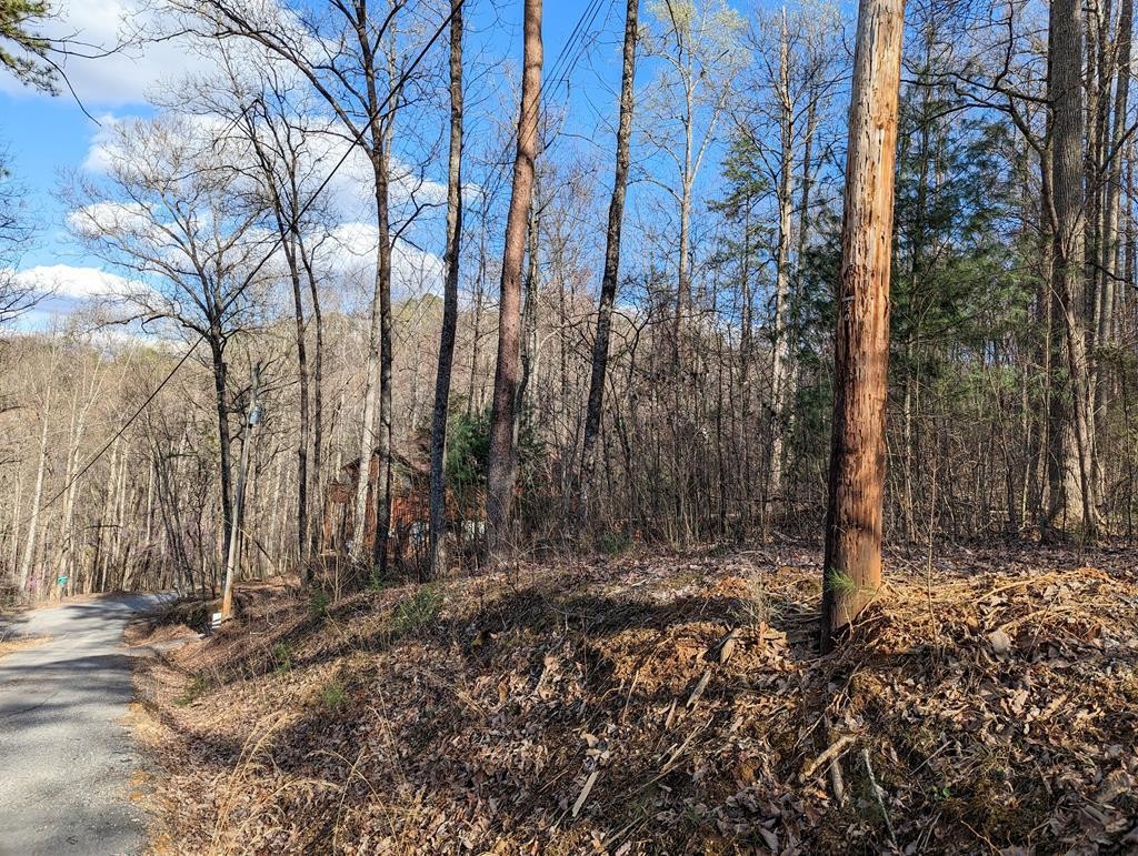 0 Shagbark Hickory Ridge Sevierville, TN 37862 - Photo 2 of 12