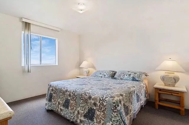 a view of a garden with large trees