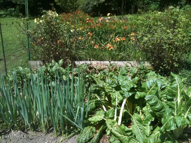 386 Oblong Road Williamstown, MA 01267 - Photo 24 of 29 IMG_0853