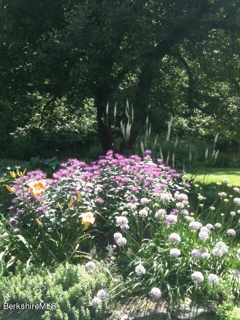 386 Oblong Road Williamstown, MA 01267 - Photo 29 of 29 IMG_0845