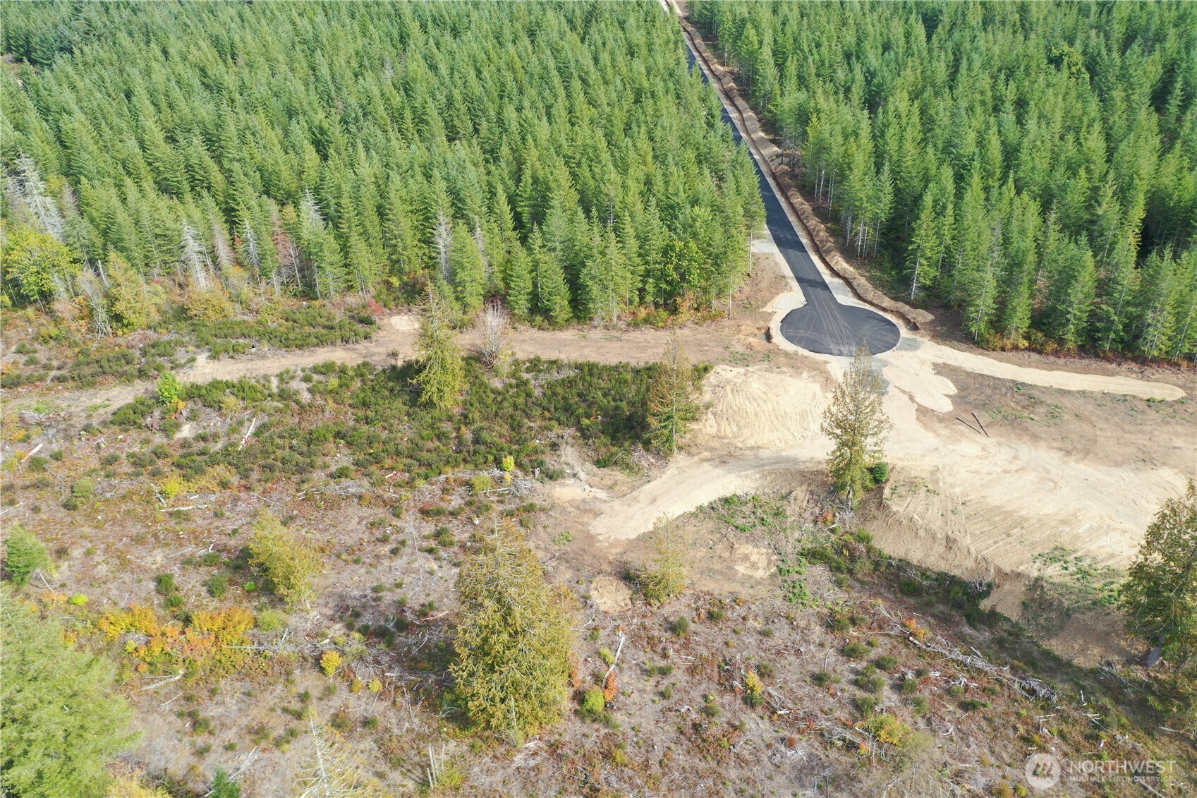 0 Lot 4 Div Elma, WA 98541 - Photo 1 of 11 a view of a yard with plants and wooden fence
