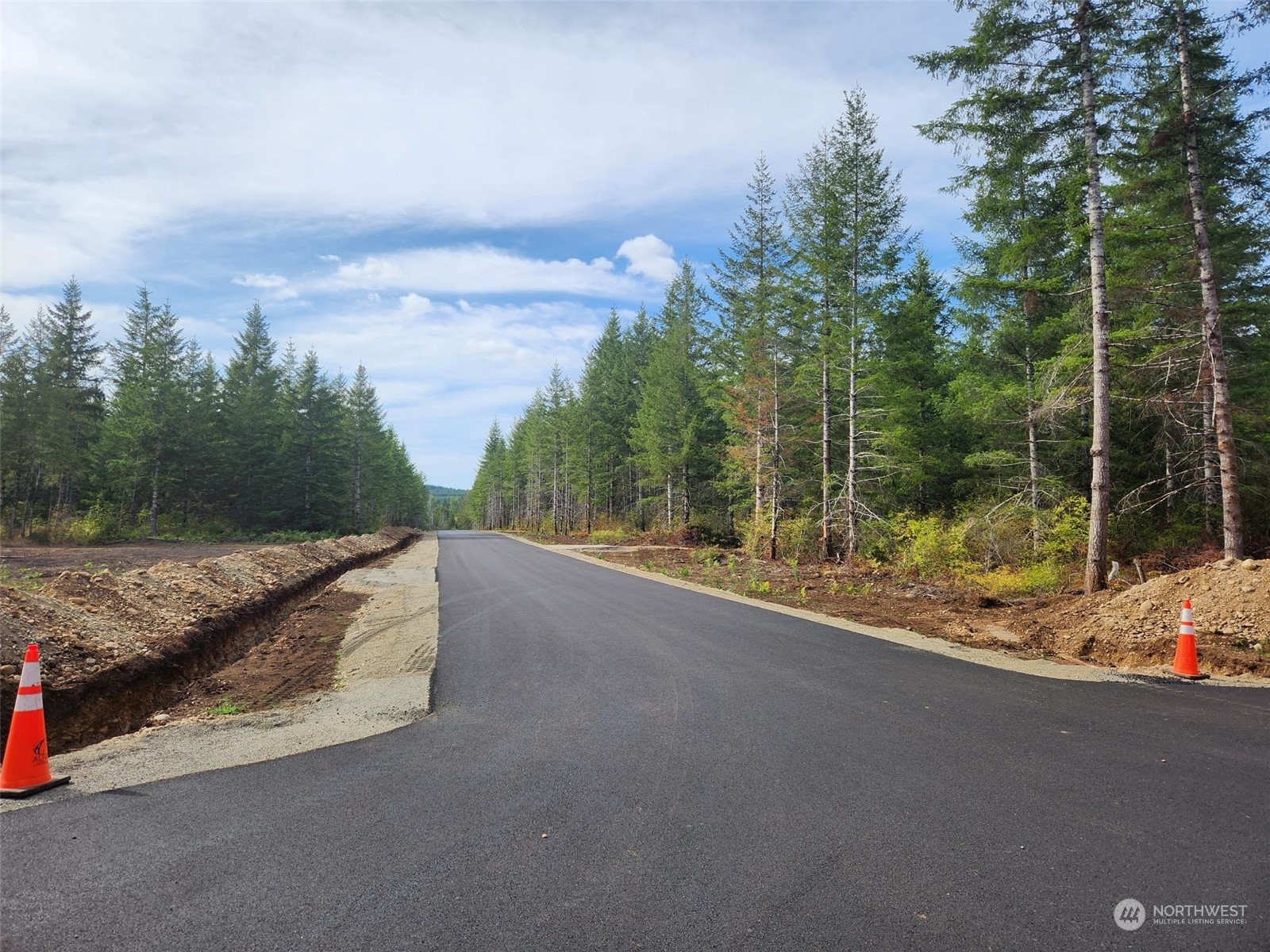 0 Lot 4 Div Elma, WA 98541 - Photo 9 of 11 a view of a road with trees in front of it