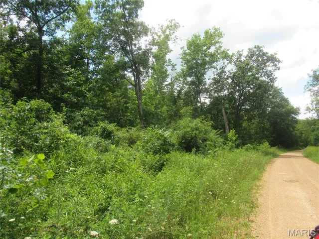 $103,000 | 0 South Czar Tower (20.62 Acres) Road, Steelville, MO 65565
