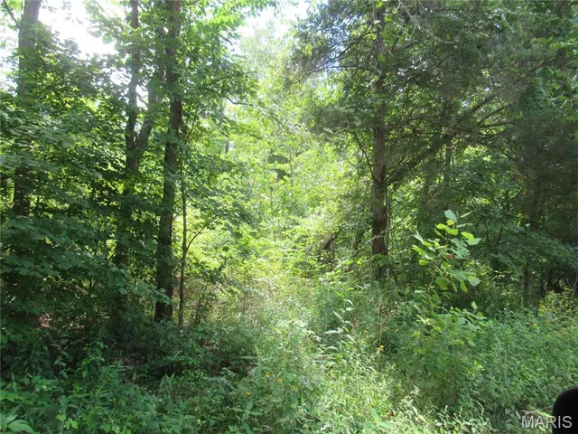 $103,000 | 0 South Czar Tower (20.62 Acres) Road, Steelville, MO 65565