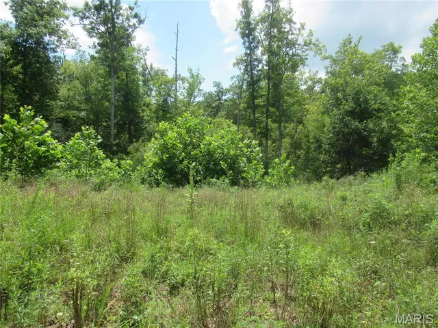 $103,000 | 0 South Czar Tower (20.62 Acres) Road, Steelville, MO 65565