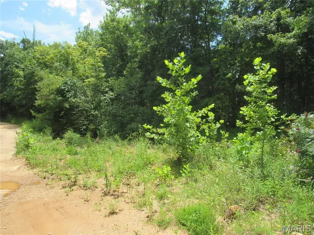 $103,000 | 0 South Czar Tower (20.62 Acres) Road, Steelville, MO 65565