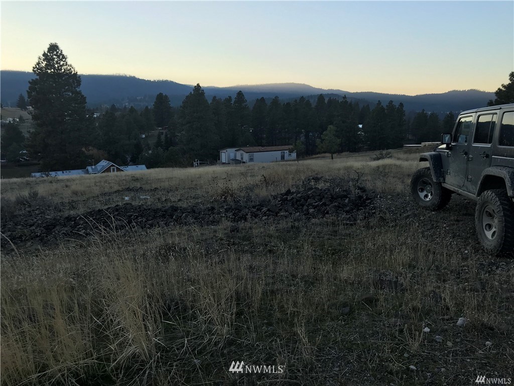0 Highline Loop, Unit 30 Cle Elum, WA 98922 - Photo 2 of 4 Gallery Image 2