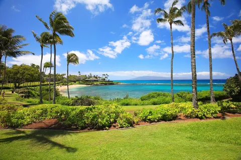 a view of a lake with a palm tree next to a yard
