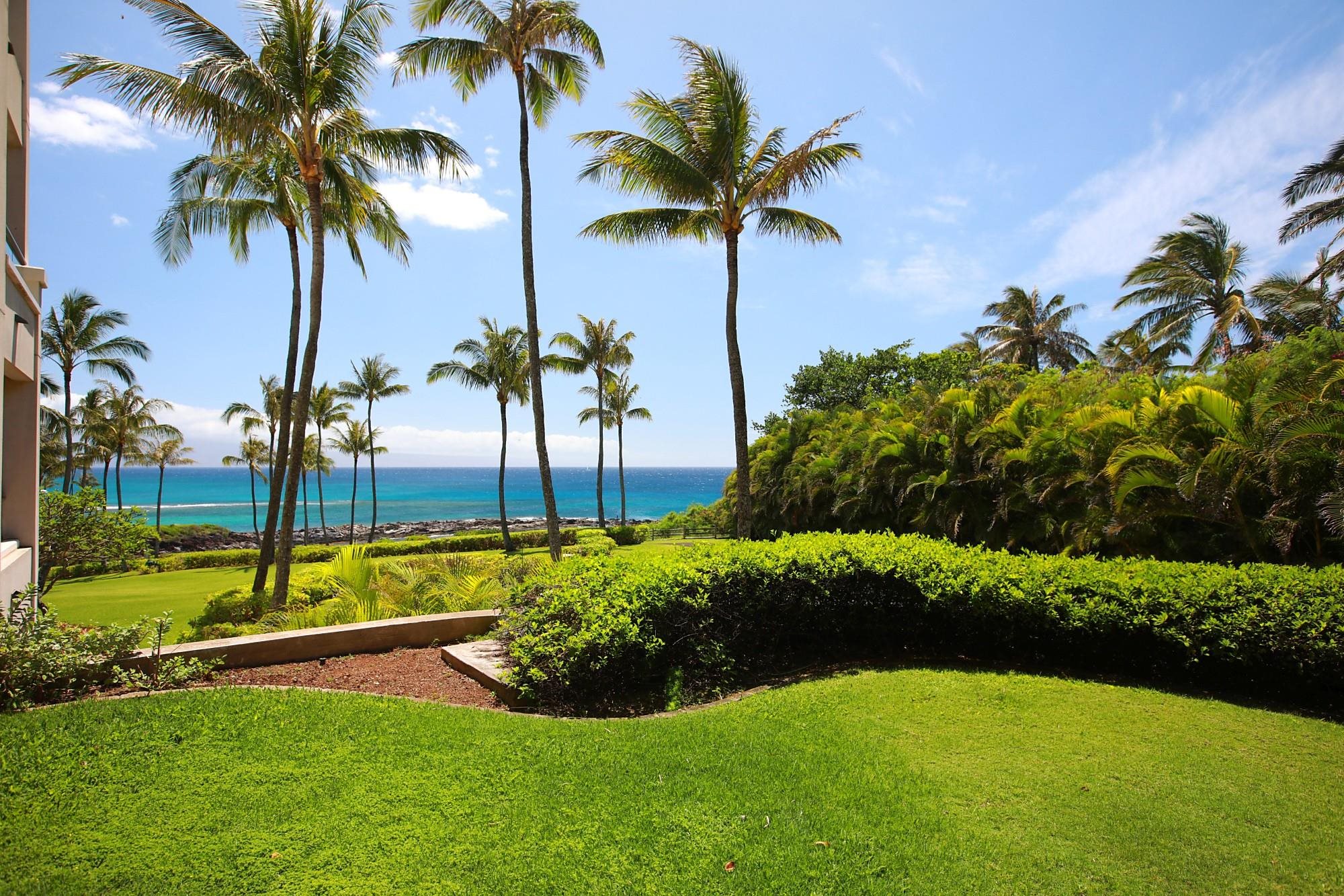 1 Bay Drive, Unit 2202 Lahaina, HI 96761 - Photo 26 of 50 a view of a yard and palm trees