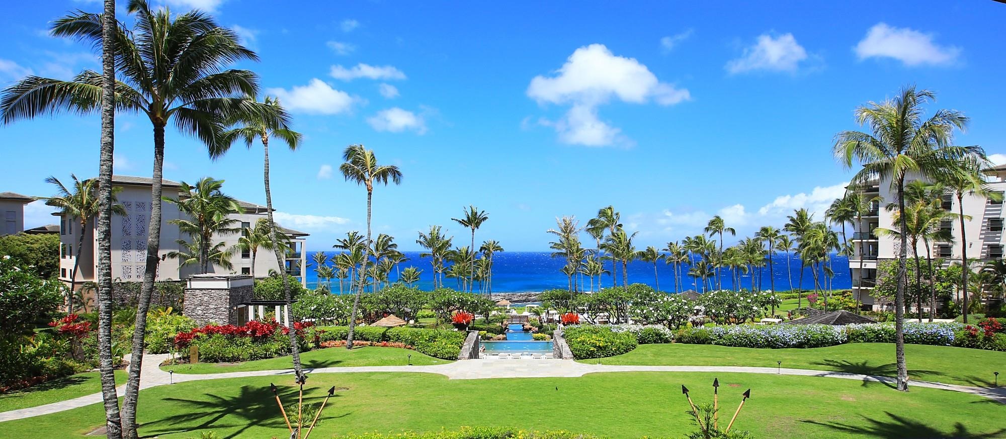 1 Bay Drive, Unit 2202 Lahaina, HI 96761 - Photo 41 of 50 a view of a flower in a yard