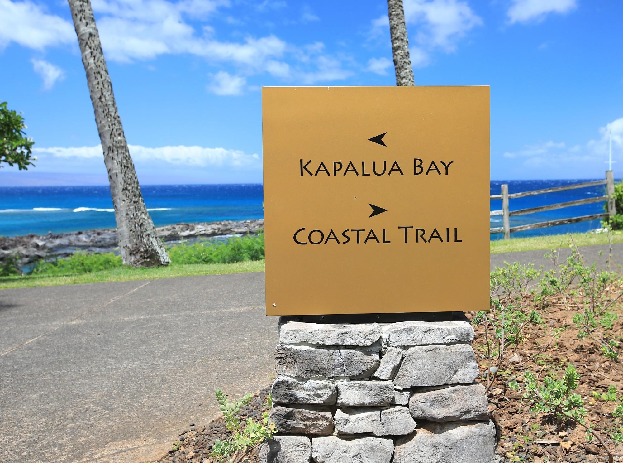 1 Bay Drive, Unit 2202 Lahaina, HI 96761 - Photo 50 of 50 a sign on the side of the road